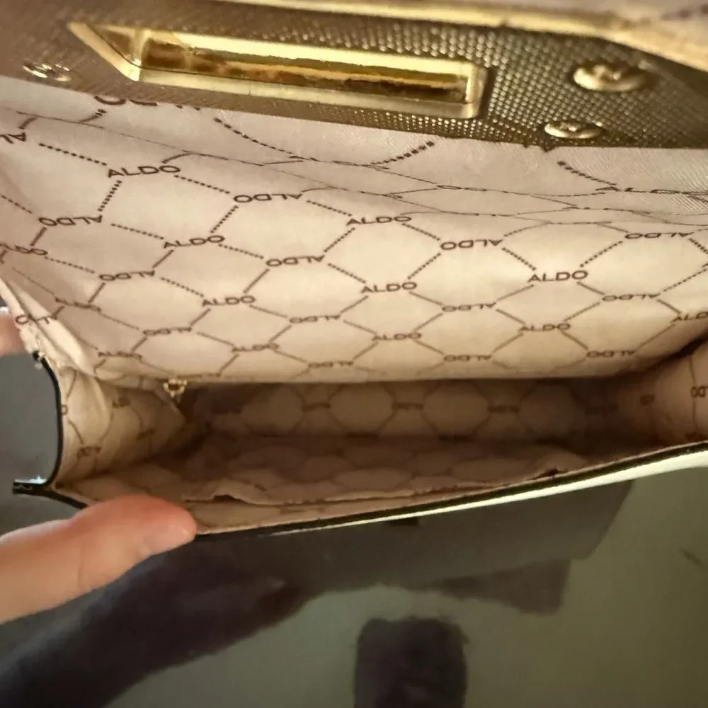 Aldo Metallic Gold Clutch